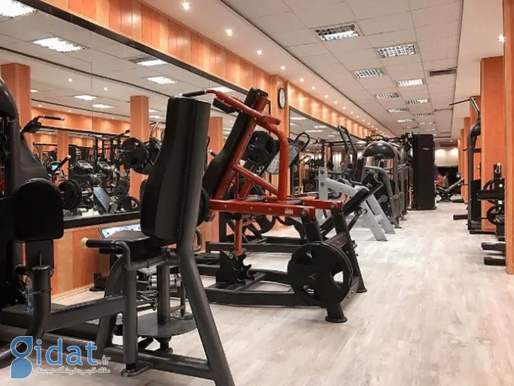 باشگاه پرندیس